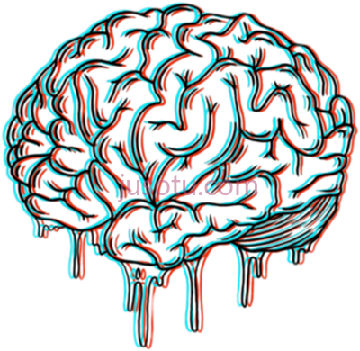 大脑,huge brain tumblr more PNG