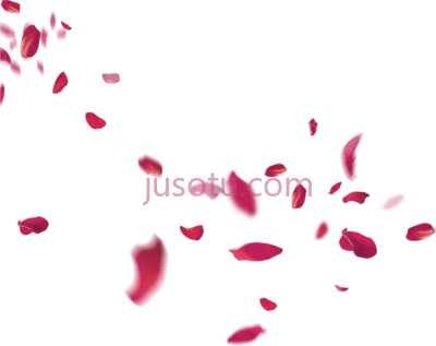 玫瑰花瓣飘落,flower beach rose petals falling PNG