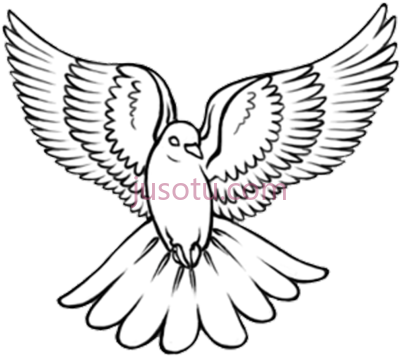 飞鸽,black outline flying dove tattoo PNG
