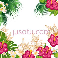 热带植物花边框PNG