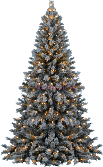 雪圣诞树,snow christmas tree PNG