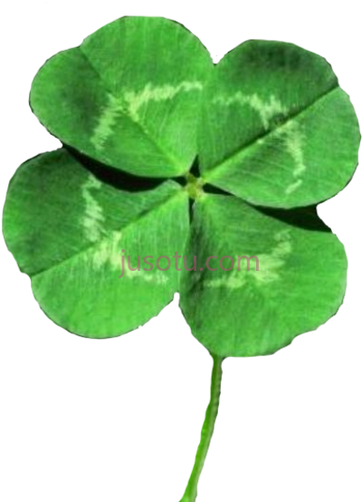 四叶草,four leaf clover lucky PNG
