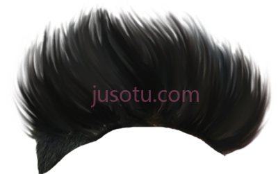 发型,hair style PNG