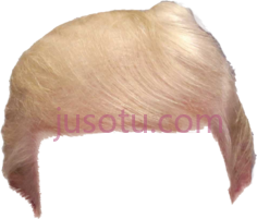 特朗普头发,假发 PNG