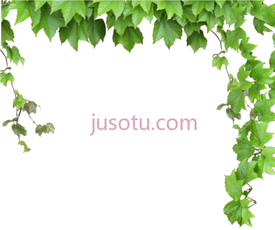 树叶藤蔓,leaves and vines PNG