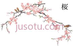 日本櫻花PNG