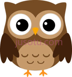 猫头鹰PNG