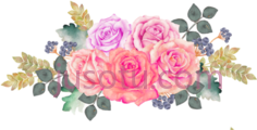 水彩花,white flowers PNG