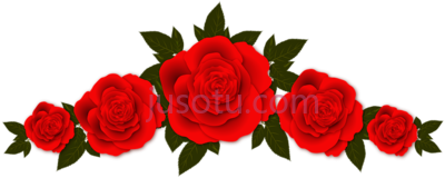 玫瑰花,roses flowers vignette plate PNG