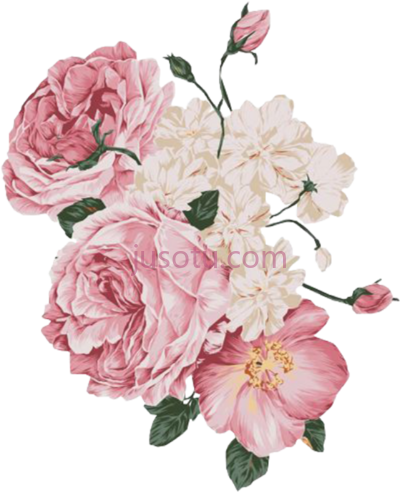 淡粉色花,report abuse pale pink flower PNG