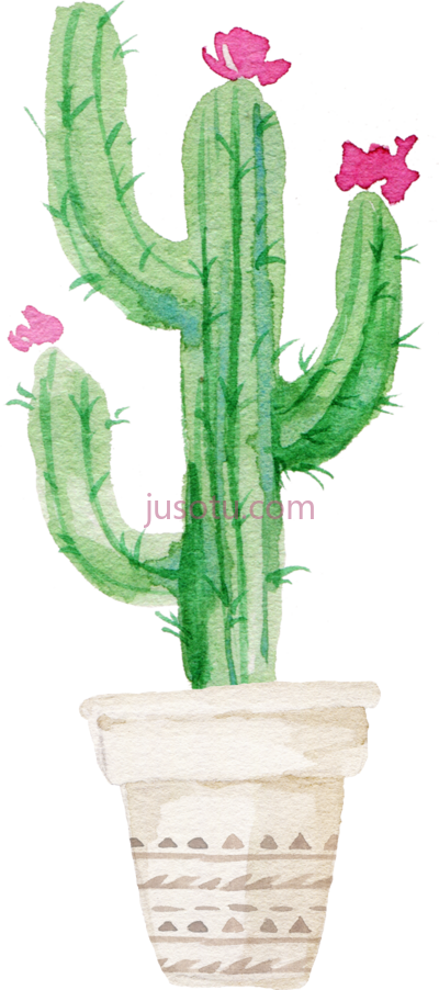 仙人掌,succulent plant watercolor painting PNG