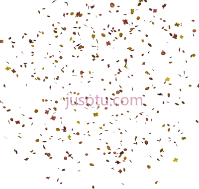 秋天落叶,resolution PNG