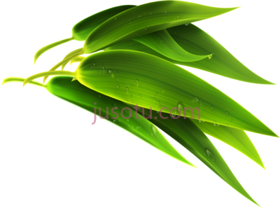 绿竹叶,green bamboo leaf PNG