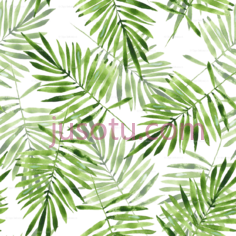 绿棕榈叶PNG