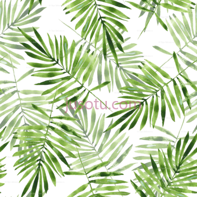 绿棕榈叶,green palm leaves PNG