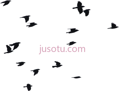 飞鸟,birds flying silhouette PNG