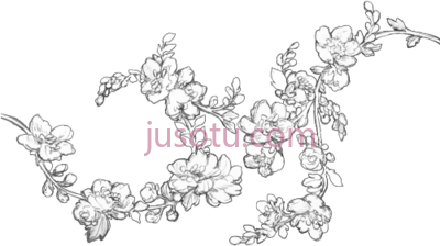 花线条,manga flowers PNG