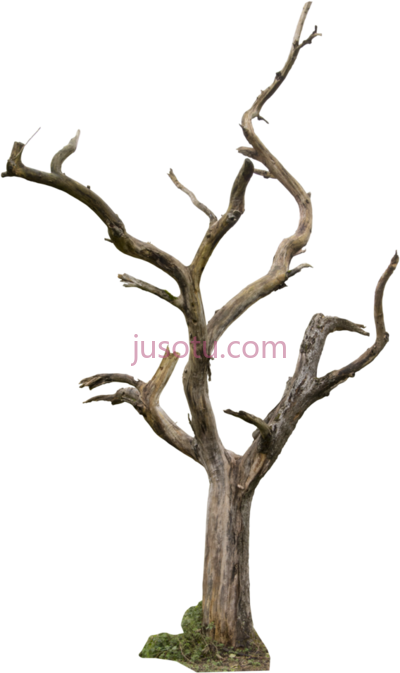 死树,dead tree PNG