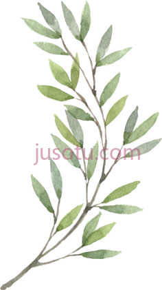 植物水彩,花 PNG
