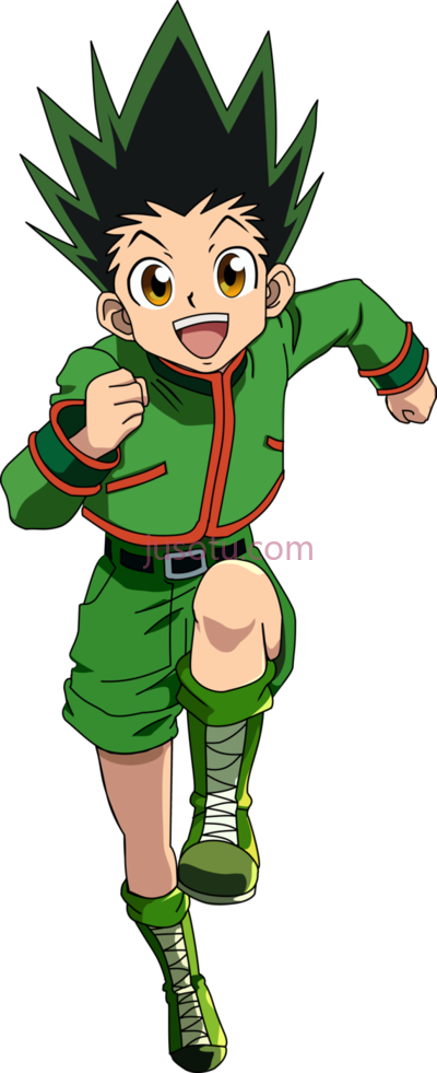 全职猎人,hunter x gon PNG