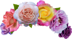 花冠,head flower PNG