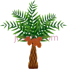 油棕树,tree art PNG