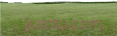 草原,grass PNG
