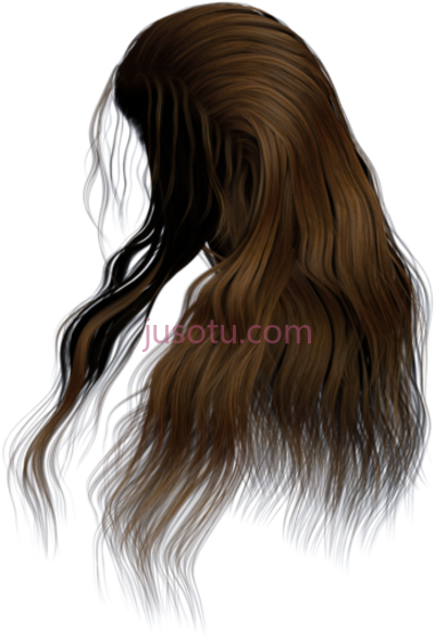假发,long hair side PNG