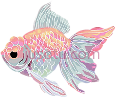 金鱼PNG