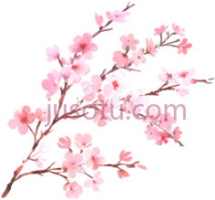 春天树枝开花PNG