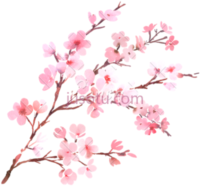 春天树枝开花,canva watercolor spring tree branch in blossom PNG