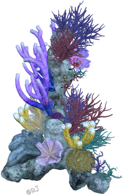 珊瑚礁,pin coral reef PNG
