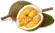 榴莲PNG