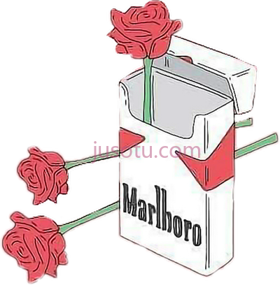 万宝路玫瑰,marlboro rose PNG
