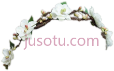 雏菊花冠,headband PNG