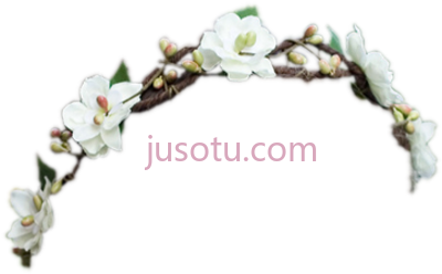 雏菊花冠,daisy flower crown PNG