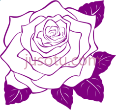 玫瑰花,rose flower outline PNG