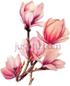 水彩花束, PNG