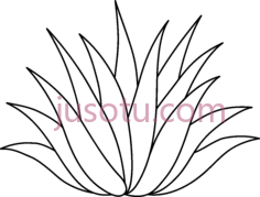 龙舌兰PNG