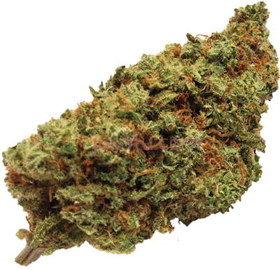 杂草,bag weed PNG