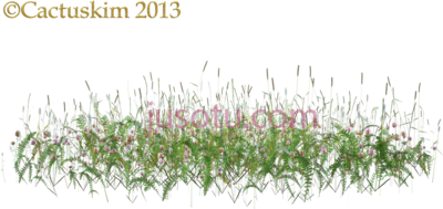 野花野草,here a some wildflowers grass etc on PNG