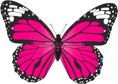 粉色蝴蝶,butterfly royalty pink art PNG