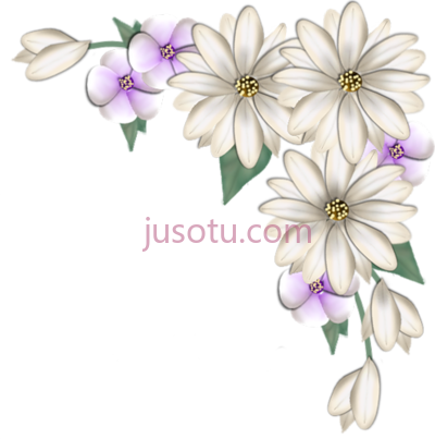 雏菊花,flowers PNG