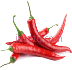 辣椒PNG