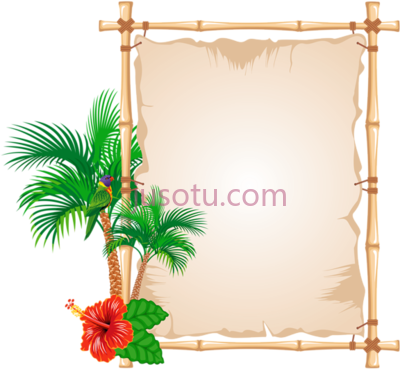 热带树叶边框,tropical frames and borders PNG