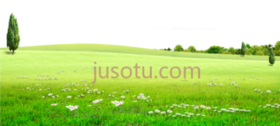 草地,land grassland on PNG