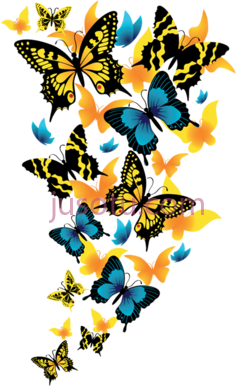 蝴蝶飞舞PNG