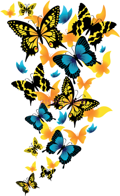 蝴蝶飞舞,butterflies flying PNG