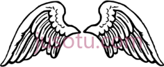 翅膀PNG