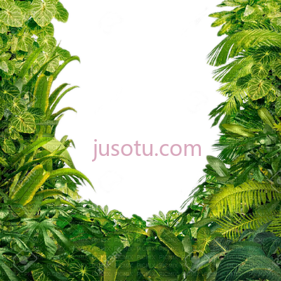 丛林树叶,jungle leaves PNG